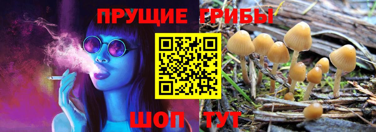 Ханты-Мансийск  Галлюциногенные грибы MAGIC MUSHROOMS  купить наркотик  Вход с VPN 