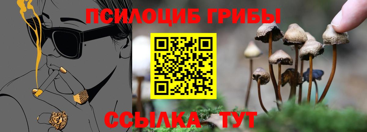 Галлюциногенные грибы мицелий Ханты-Мансийск